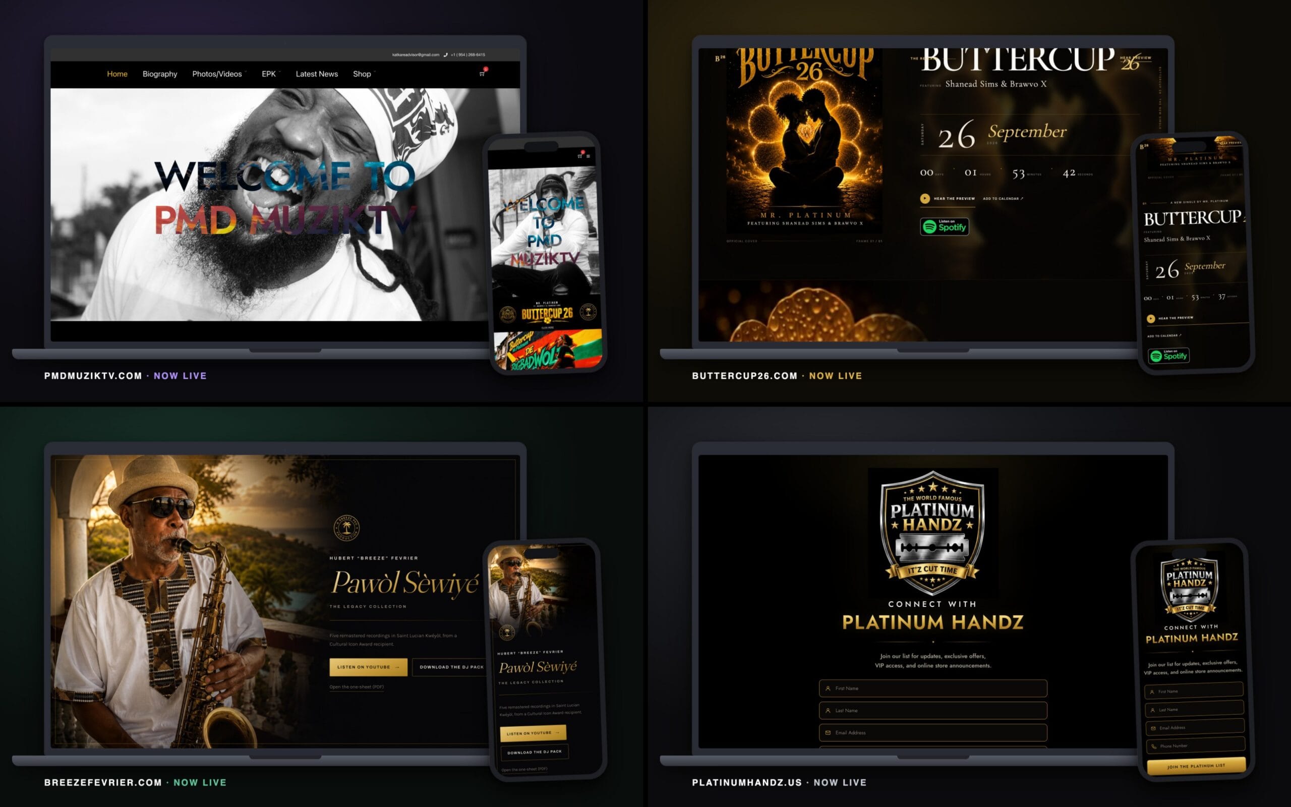 four websites for mr. platinum shown on laptops and phones