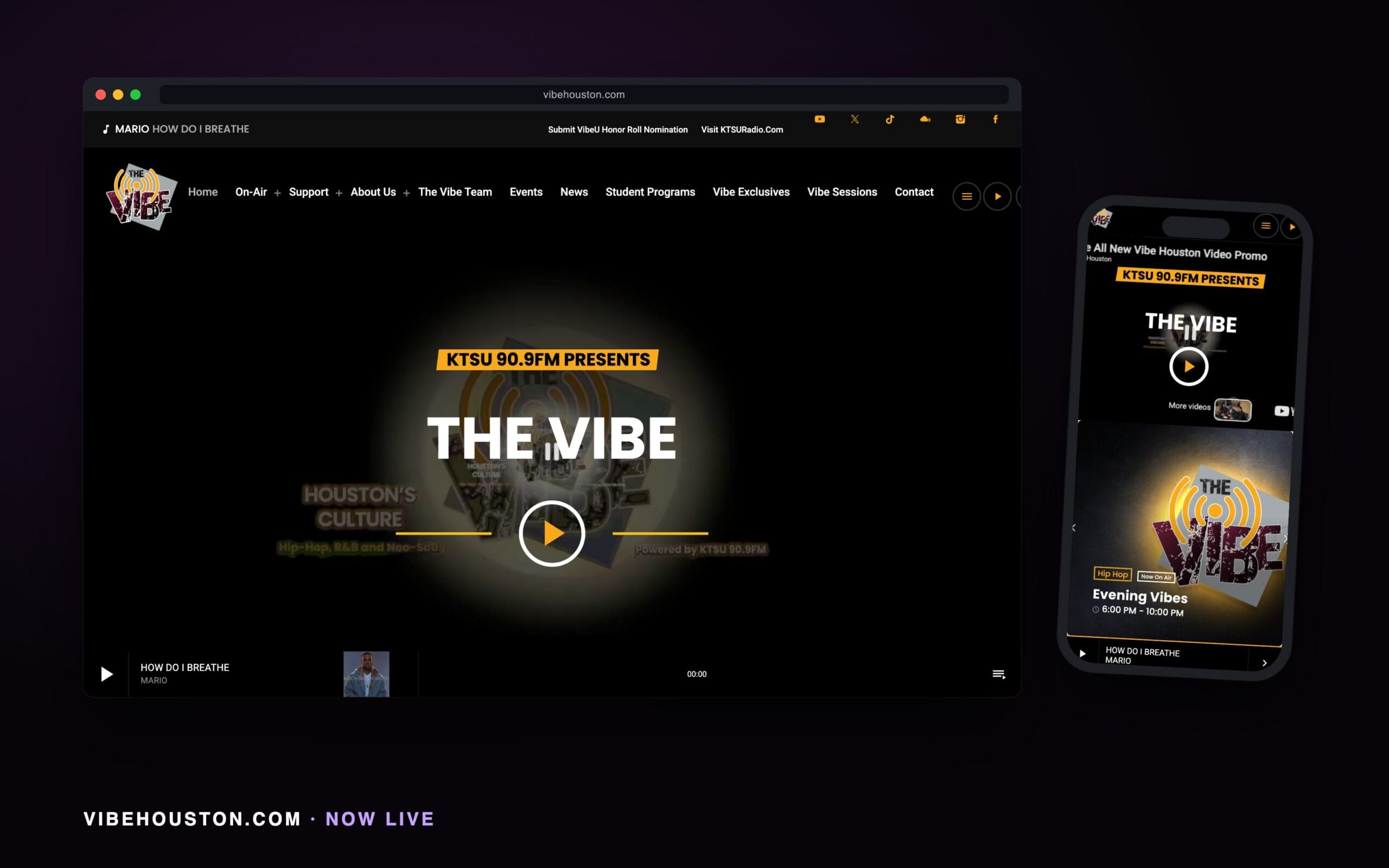 the Vibe Houston Website - Hodgson Agency vibehouston.com in a browser window with its phone view